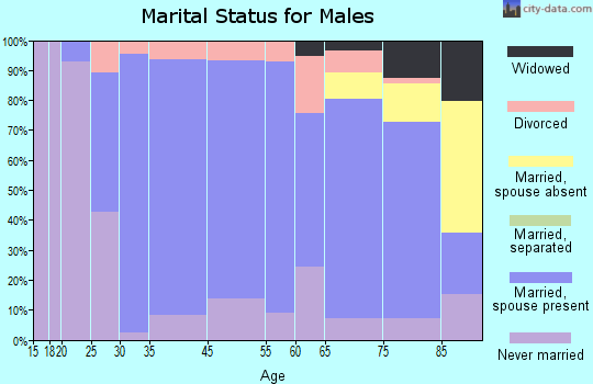 Clara City marital status for males