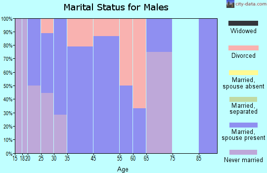Clear Lake marital status for males