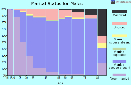 Coon Rapids marital status for males