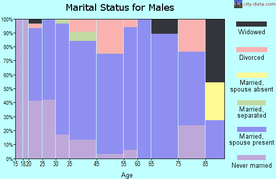 Dassel marital status for males