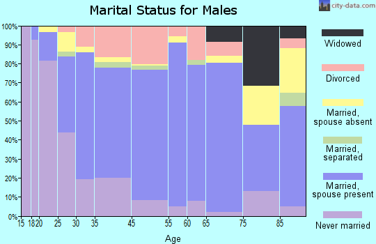 Detroit Lakes marital status for males