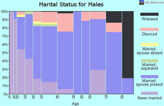 Dodge Center marital status for males