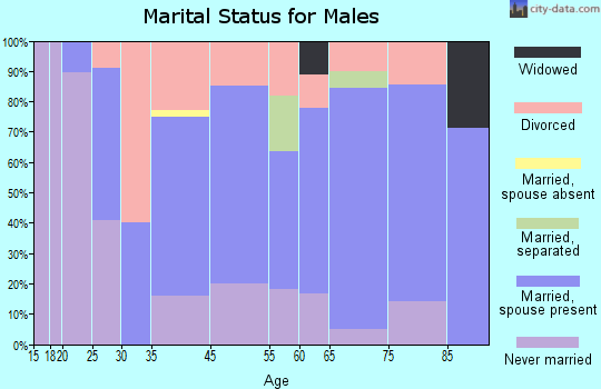 Eagle Bend marital status for males