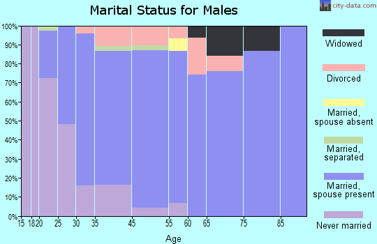Eagle Lake marital status for males