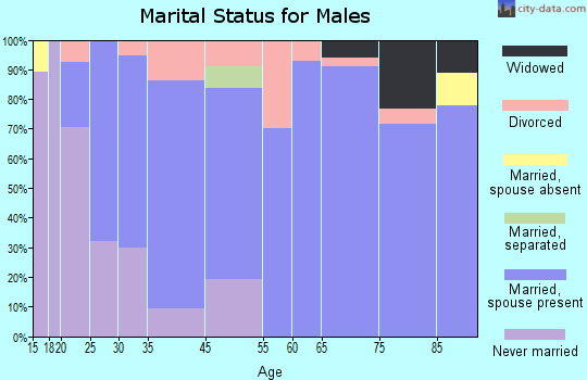 Elbow Lake marital status for males