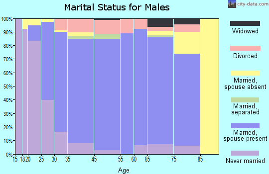 Elk River marital status for males