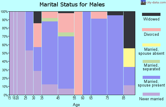 Ellendale marital status for males