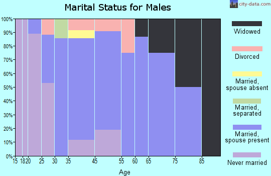 Ellsworth marital status for males