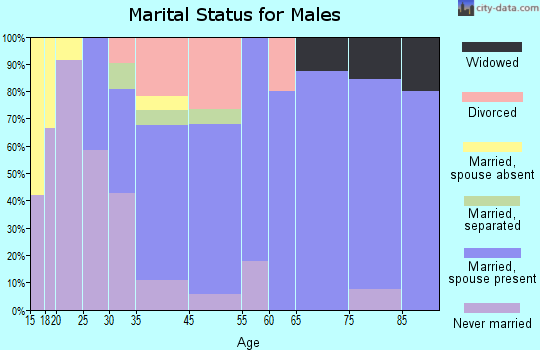 Elmore marital status for males