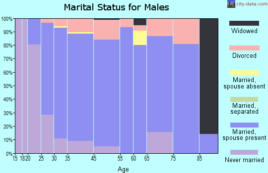 Farmington marital status for males