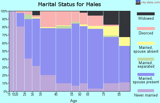 Fergus Falls marital status for males