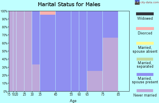 Flensburg marital status for males