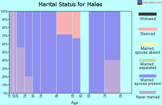 Georgetown marital status for males