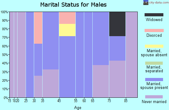 Gonvick marital status for males