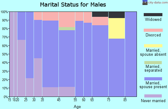 Grand Meadow marital status for males