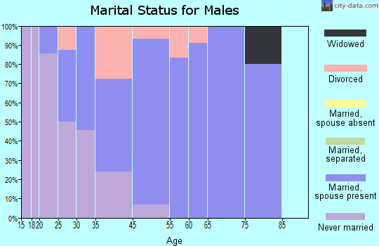 Grey Eagle marital status for males
