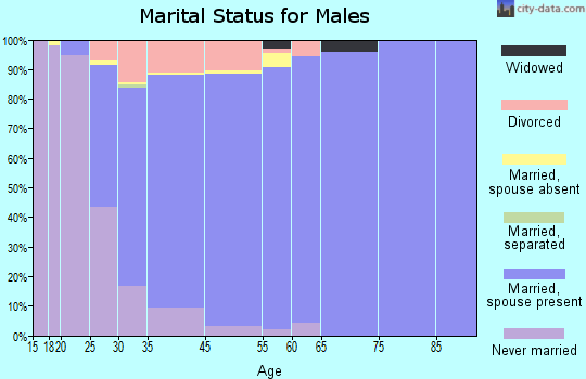 Ham Lake marital status for males