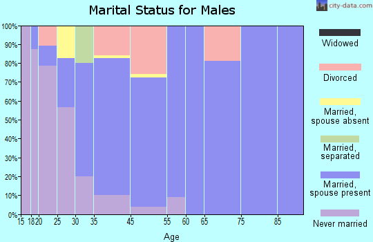 Austin marital status for males