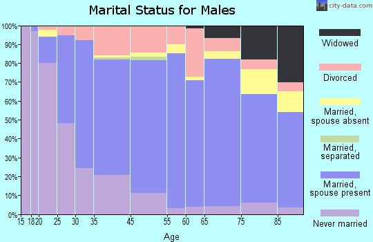 Hibbing marital status for males
