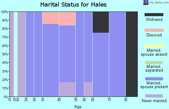 Hitterdal marital status for males