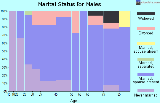 Holdingford marital status for males