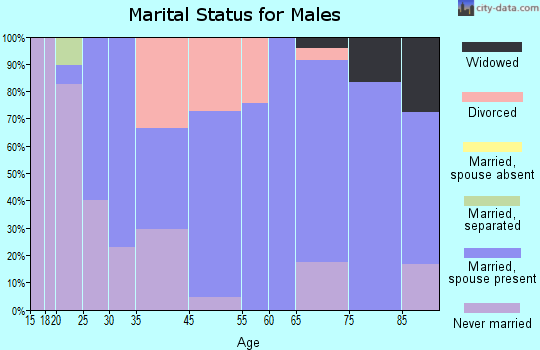 Houston marital status for males
