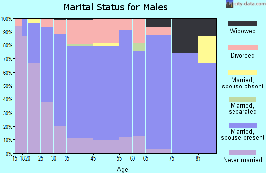 Howard Lake marital status for males