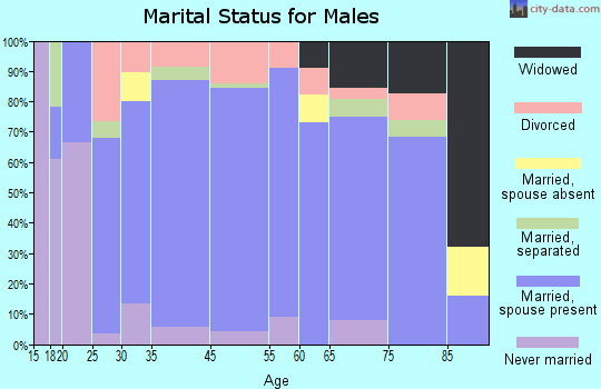 Bald Knob marital status for males