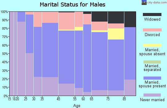 International Falls marital status for males