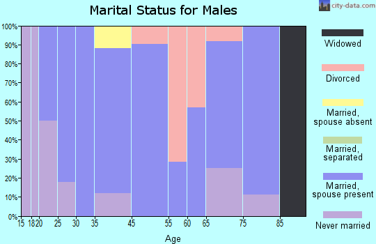 Ironton marital status for males