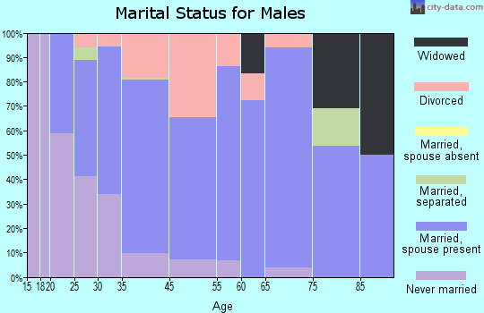 Isanti marital status for males