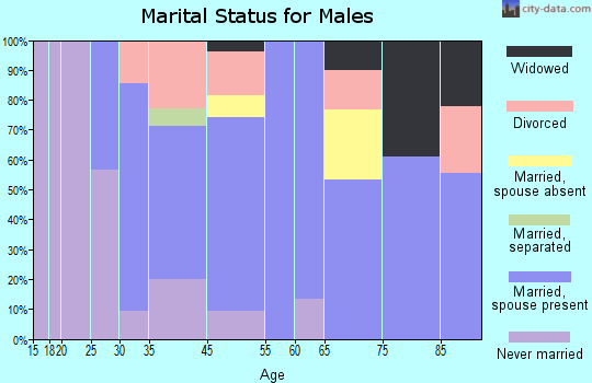 Ivanhoe marital status for males