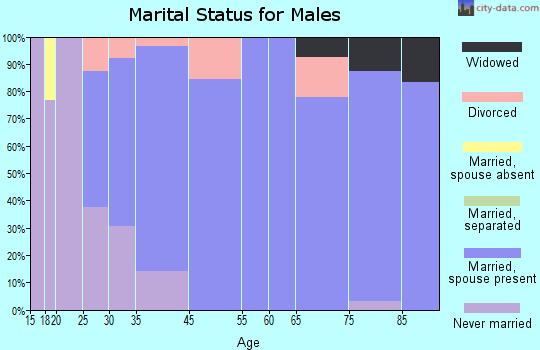Kerkhoven marital status for males