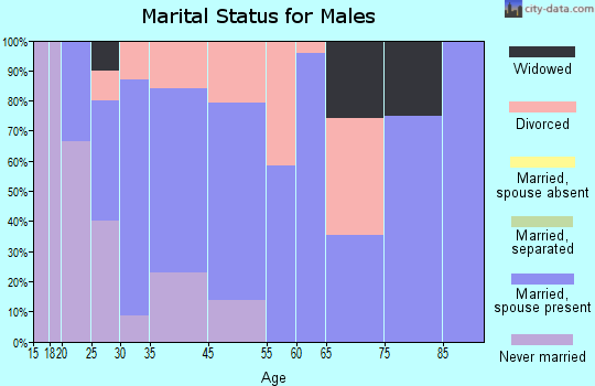 Lake Benton marital status for males