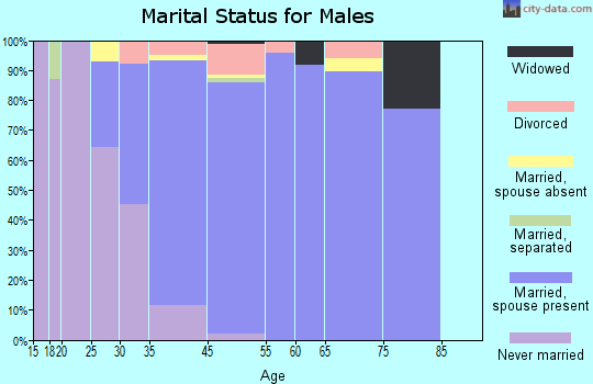 Lake Elmo marital status for males