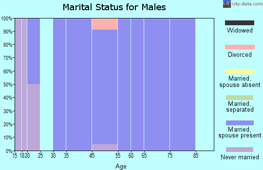 Lakeland Shores marital status for males