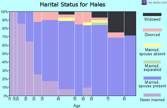 Lake Shore marital status for males