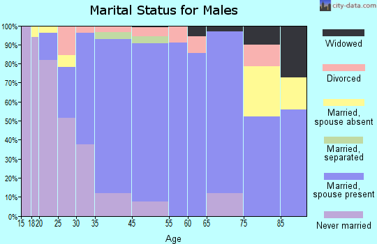 Le Sueur marital status for males