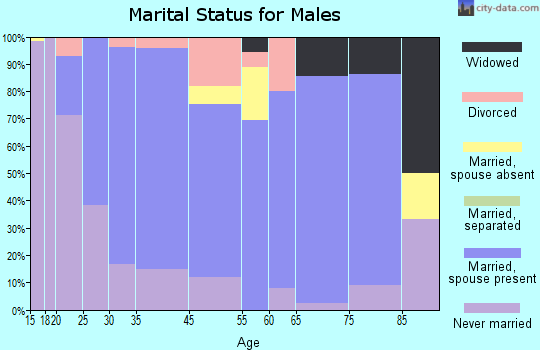 Lewiston marital status for males