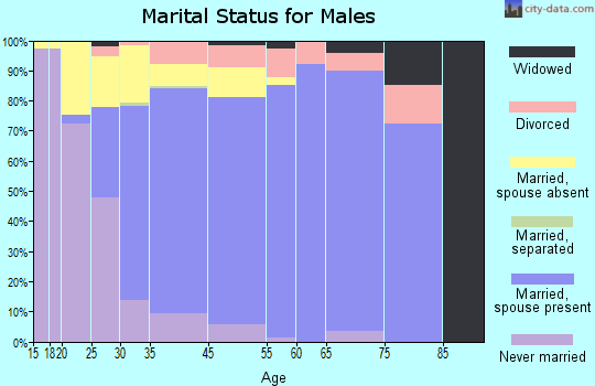 Lino Lakes marital status for males