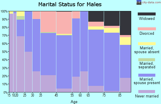Little Falls marital status for males