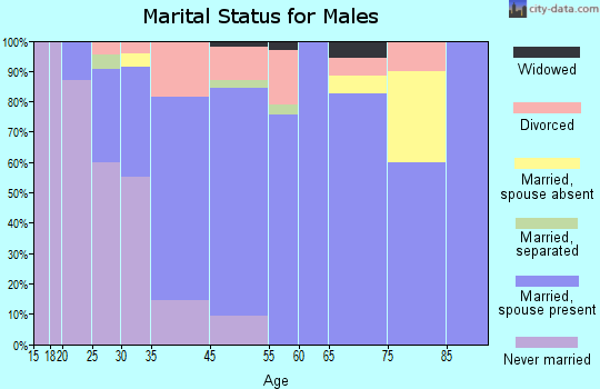 Long Lake marital status for males