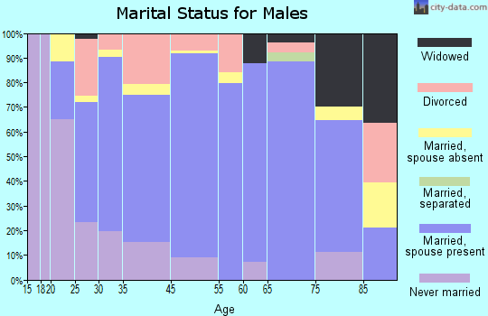 Long Prairie marital status for males