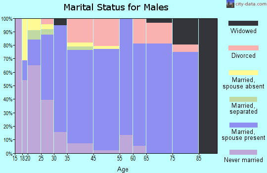Beebe marital status for males
