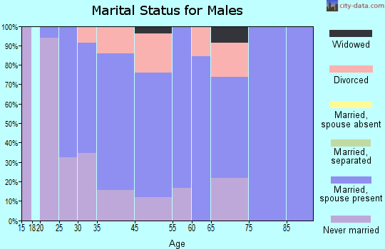 Madison Lake marital status for males