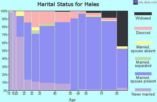 Bella Vista marital status for males