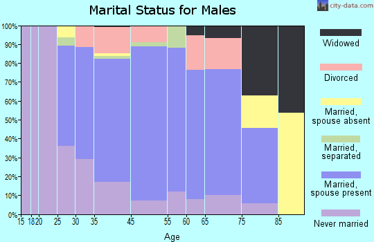 Maple Plain marital status for males