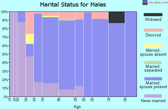 Medina marital status for males
