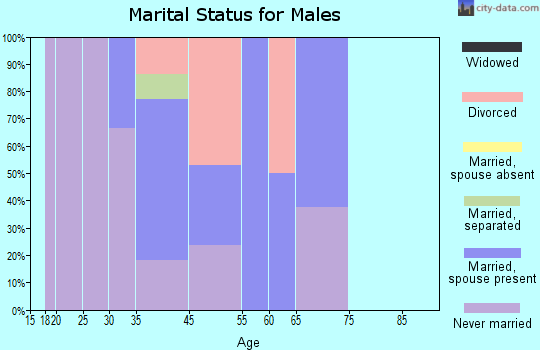 Mendota marital status for males
