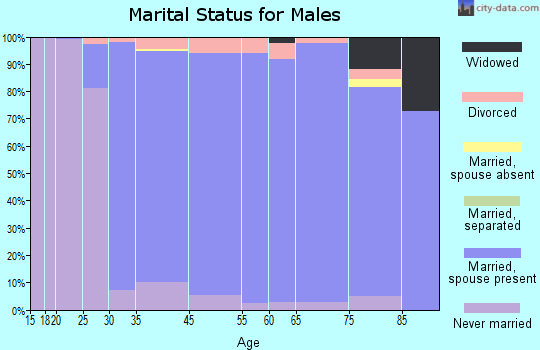 Mendota Heights marital status for males